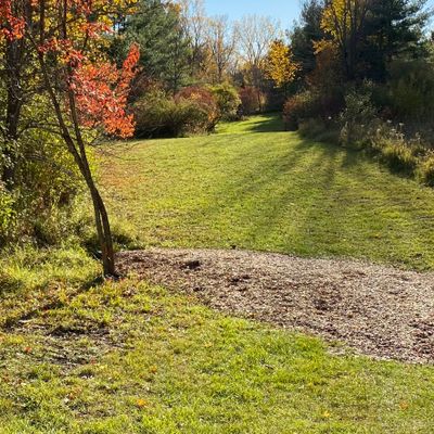 Hole 3 tee