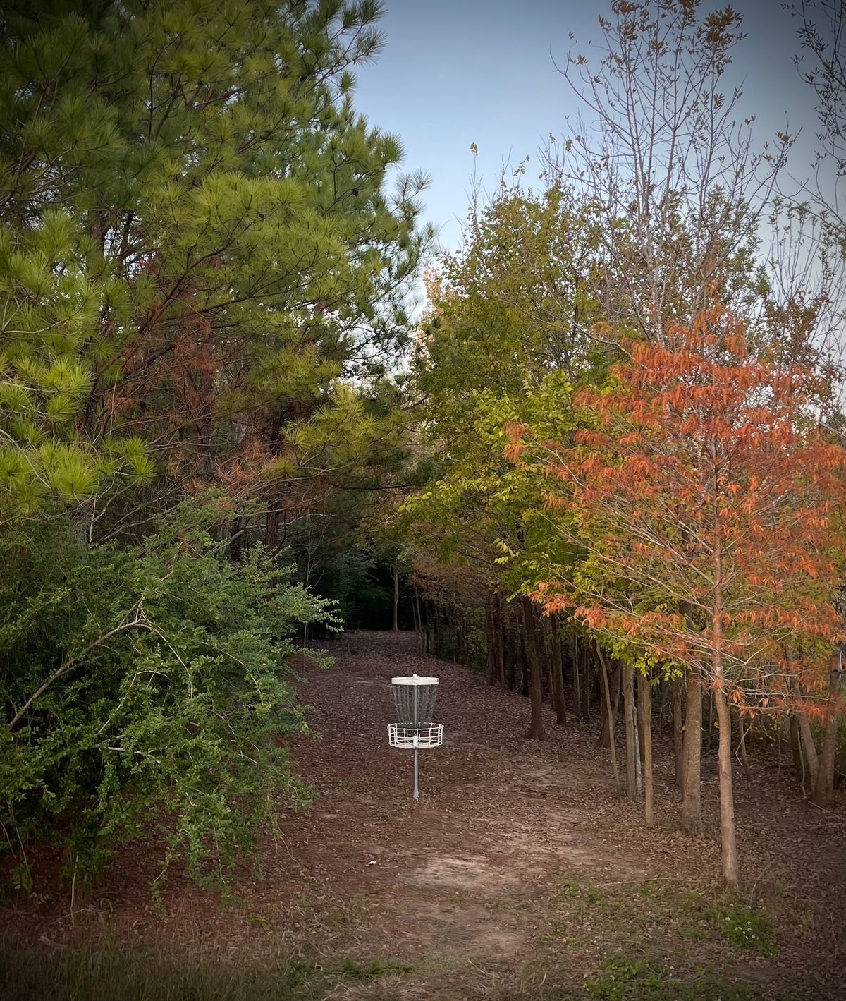Hole 15
