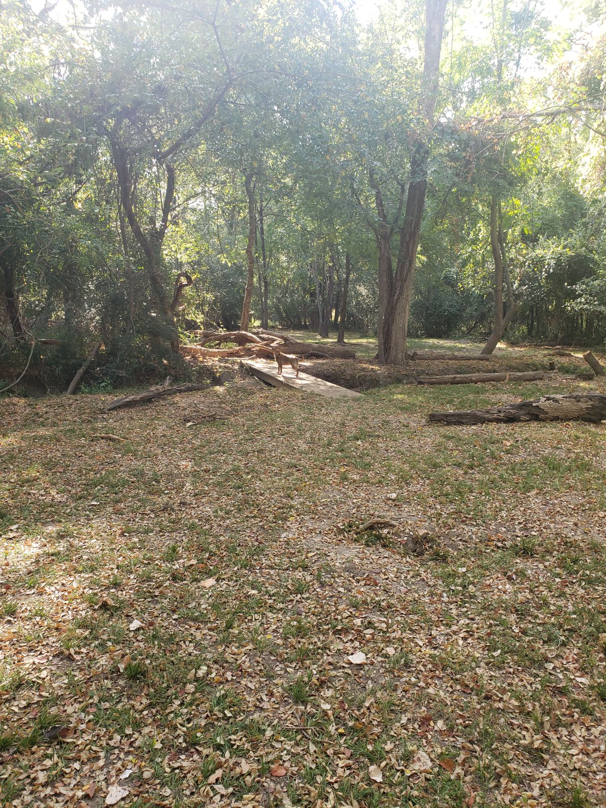 Hole 6 fairway with new bridge placement