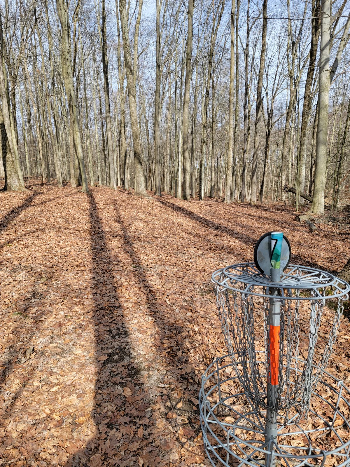 7's green looking back up the fairway