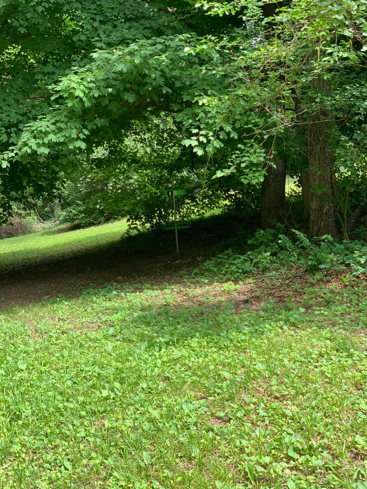 Hole 4 basket