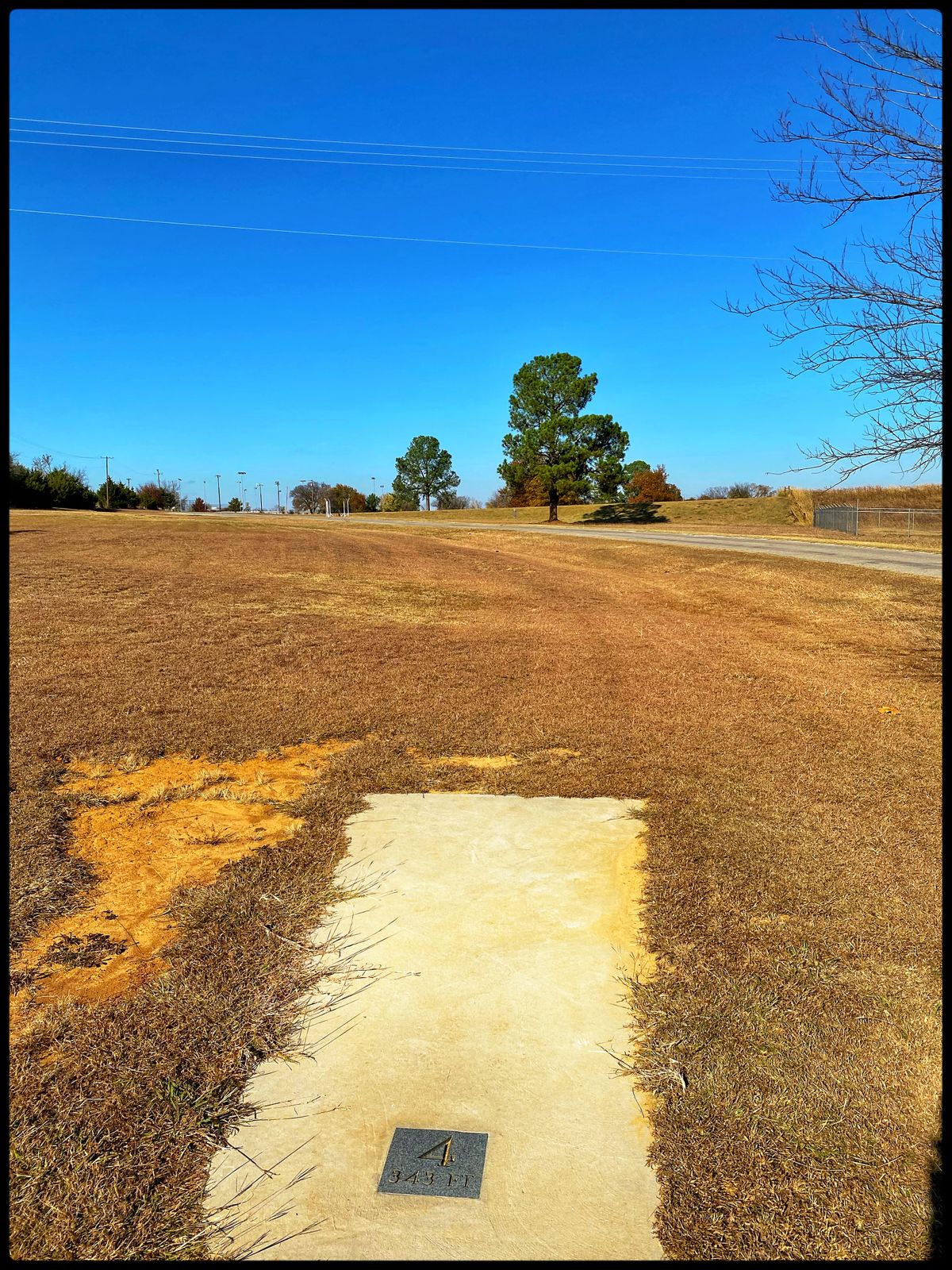 #4 Tee Throwing north towards pine