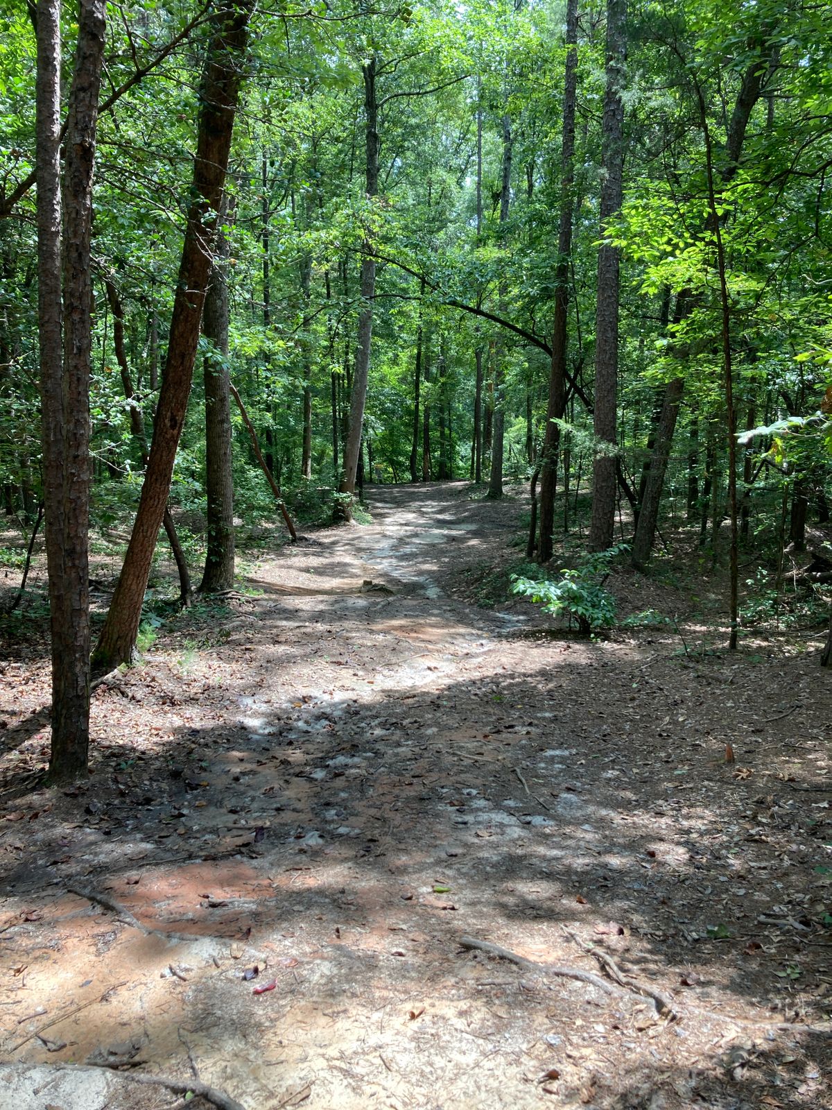 Hole 16 - fairway straightens out after initial left to right bend.
