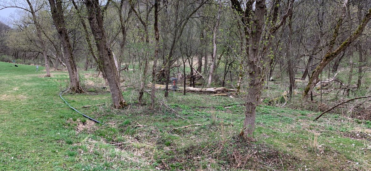 Hole 7 approach