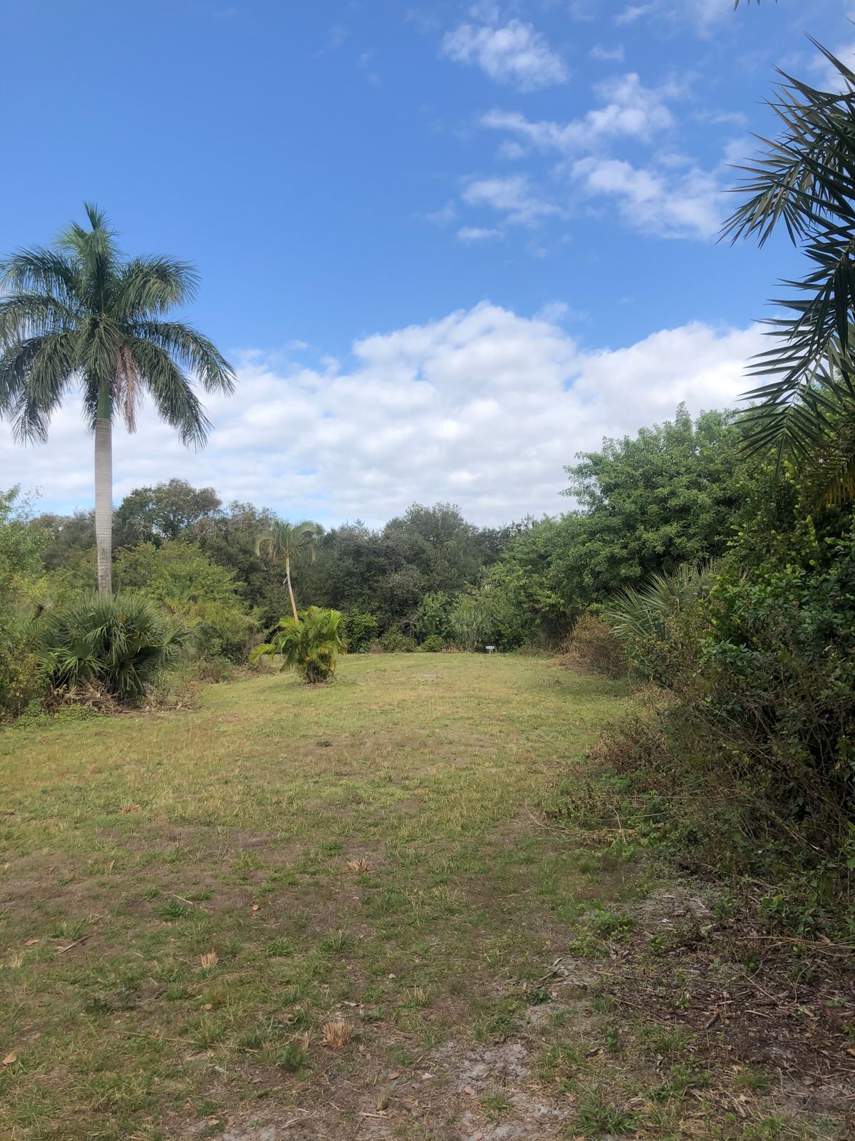 Hole 11