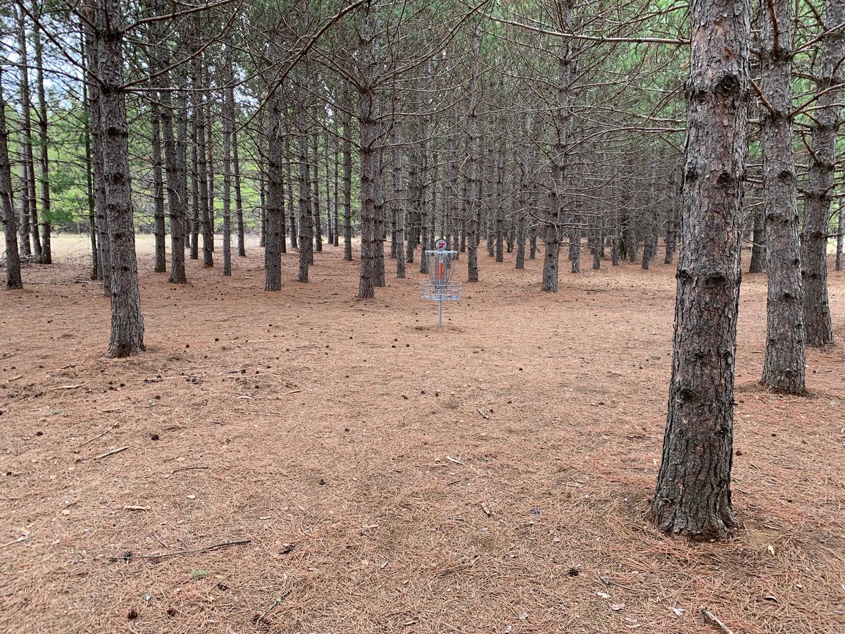 Hole 7 green