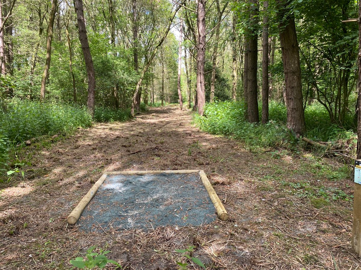 Hole 3 - Long
