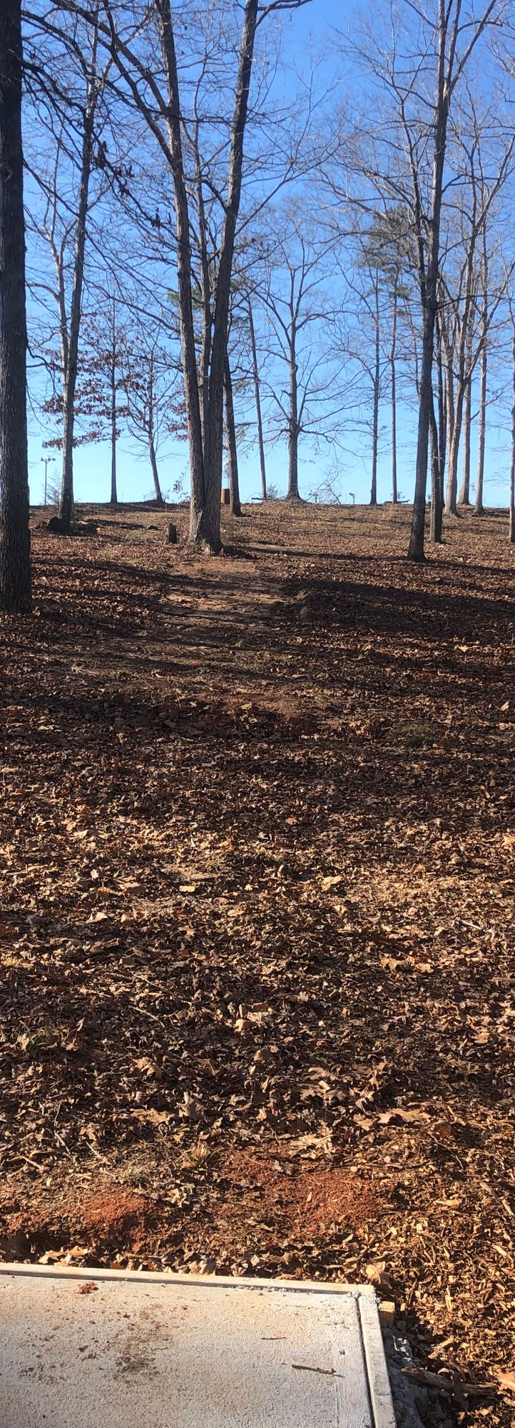 Hole 3 Tee