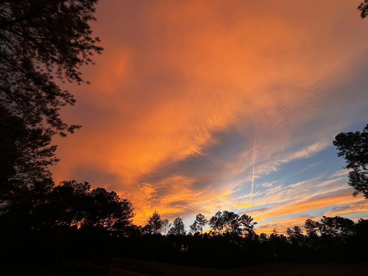 Sunset at the Cactus Rock