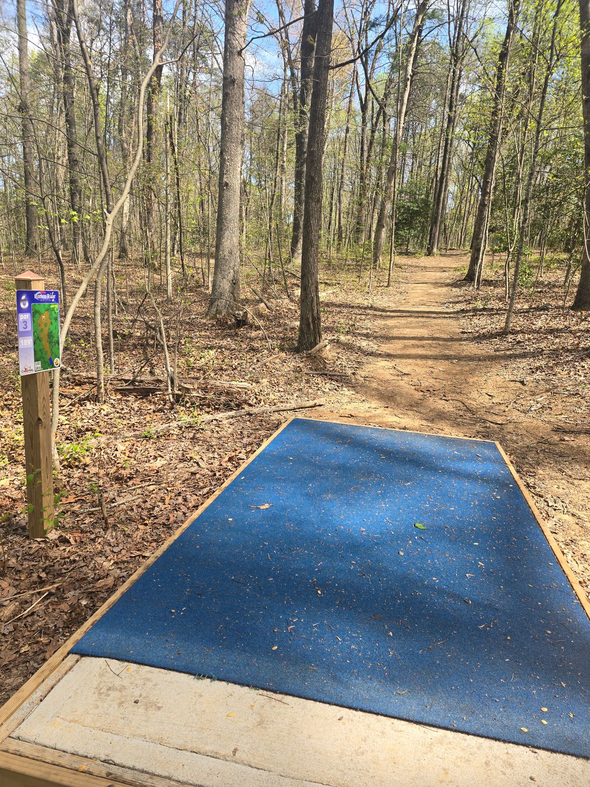Hole 6 Tee