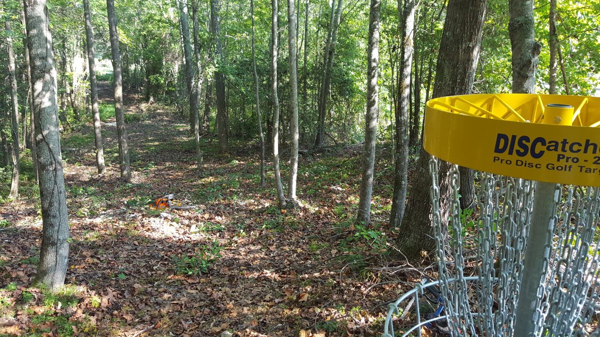 Hole #7 looking back at tee