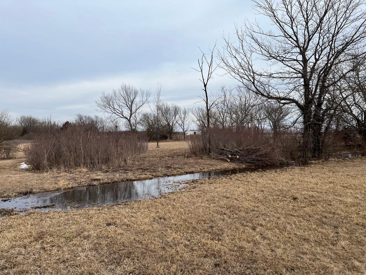 New shooting lane hole 8 February 2022
