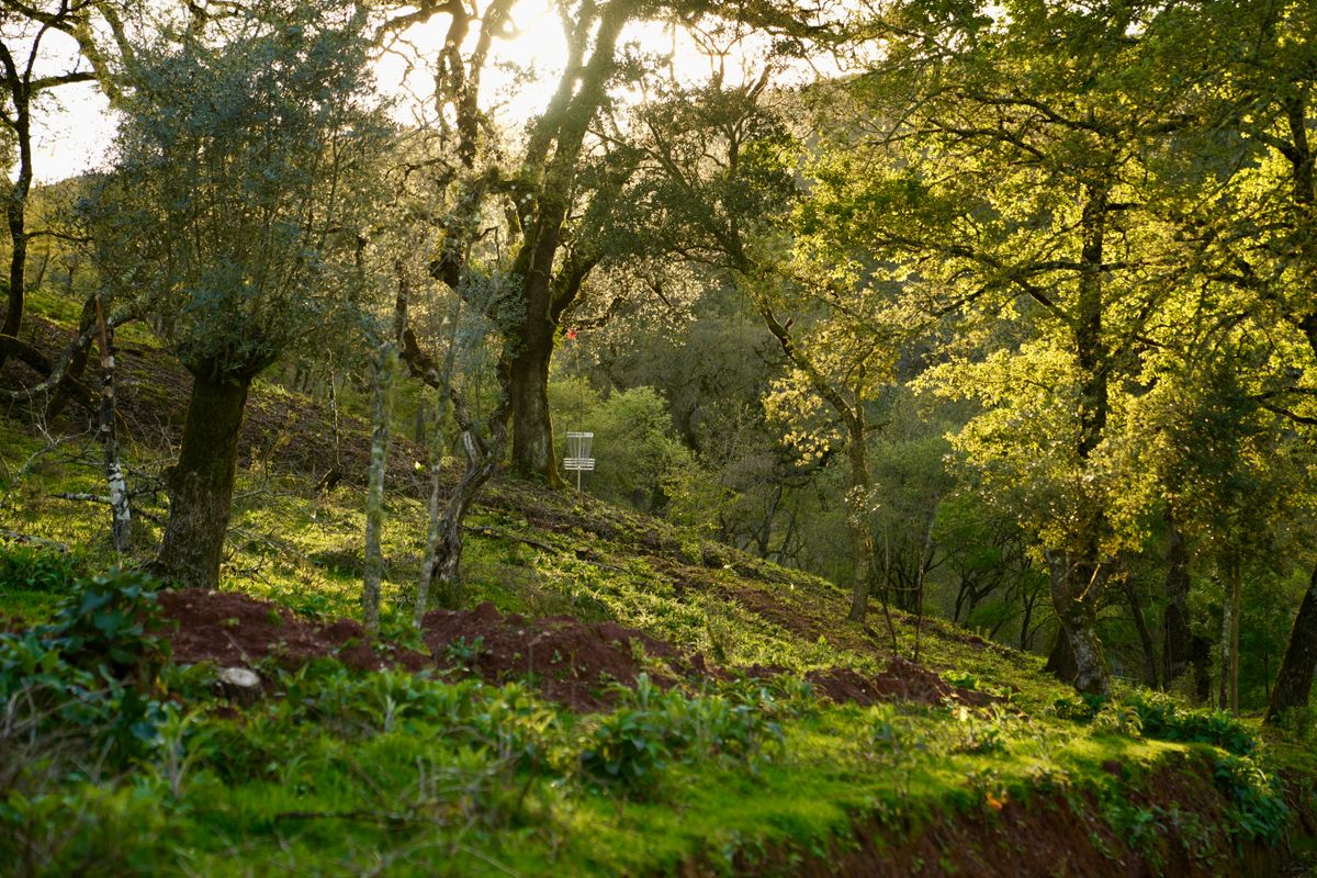 Green of hole 5