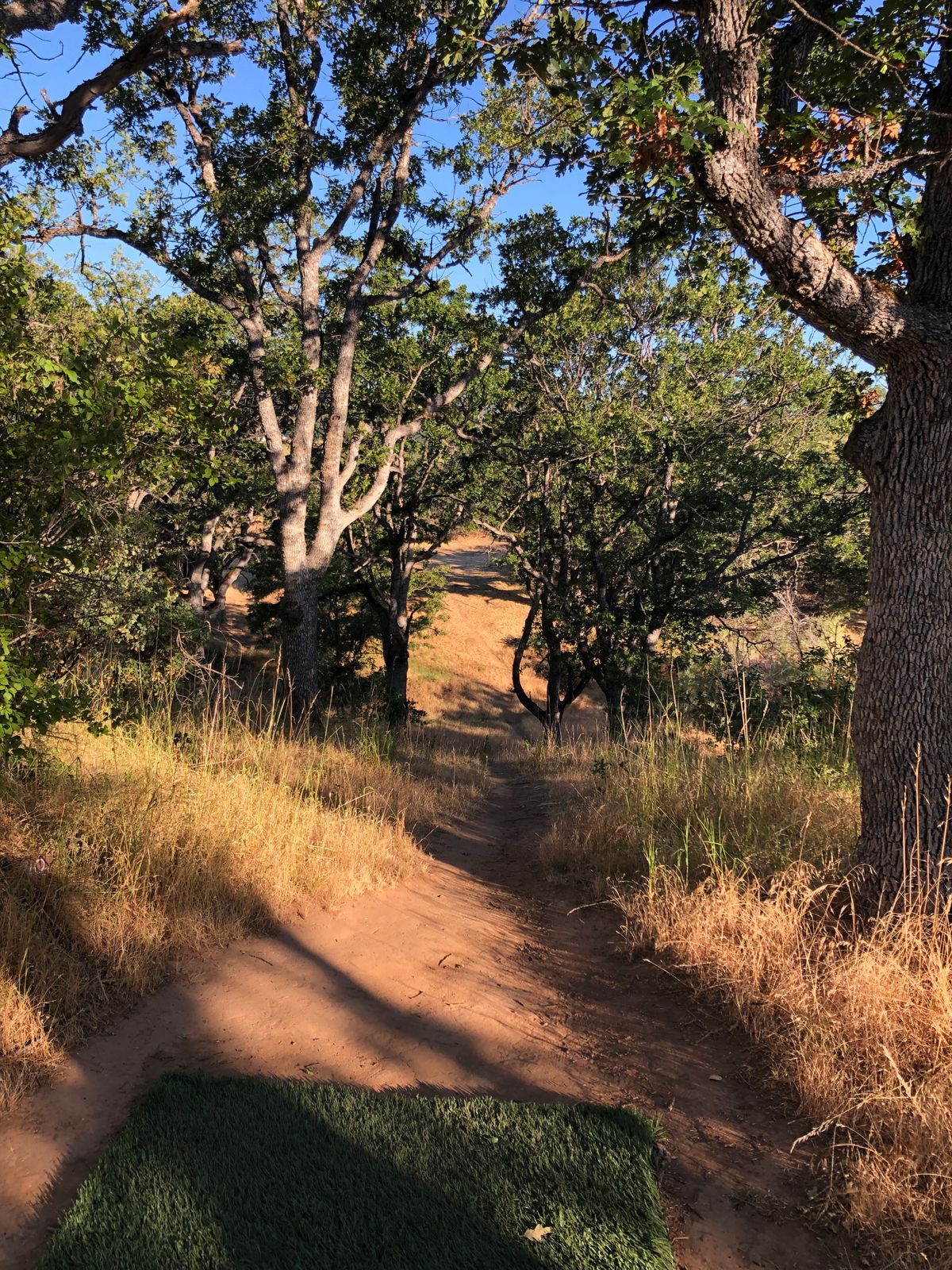 Hole 10 tunnel