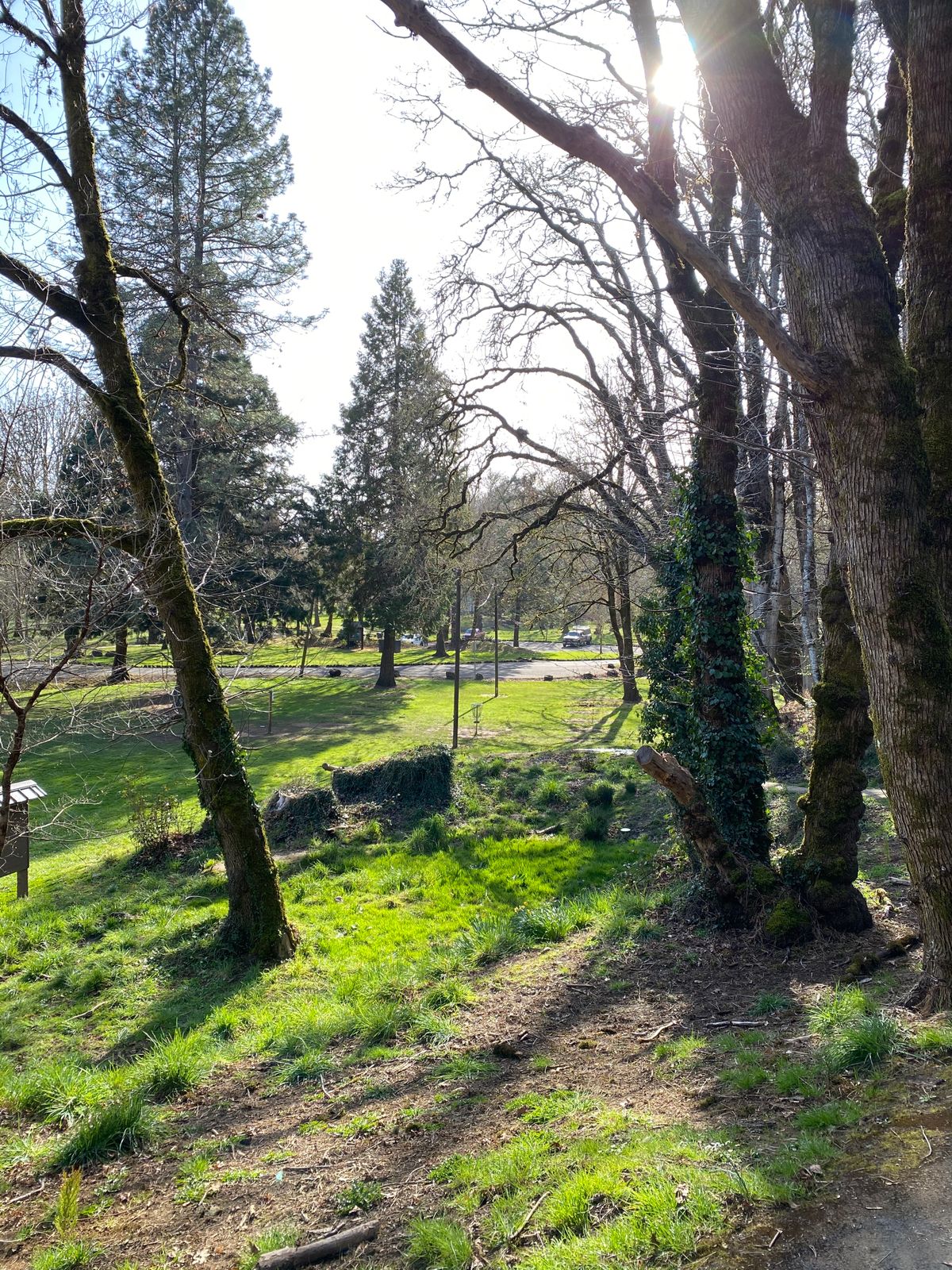 Hole 15 on a beautiful day