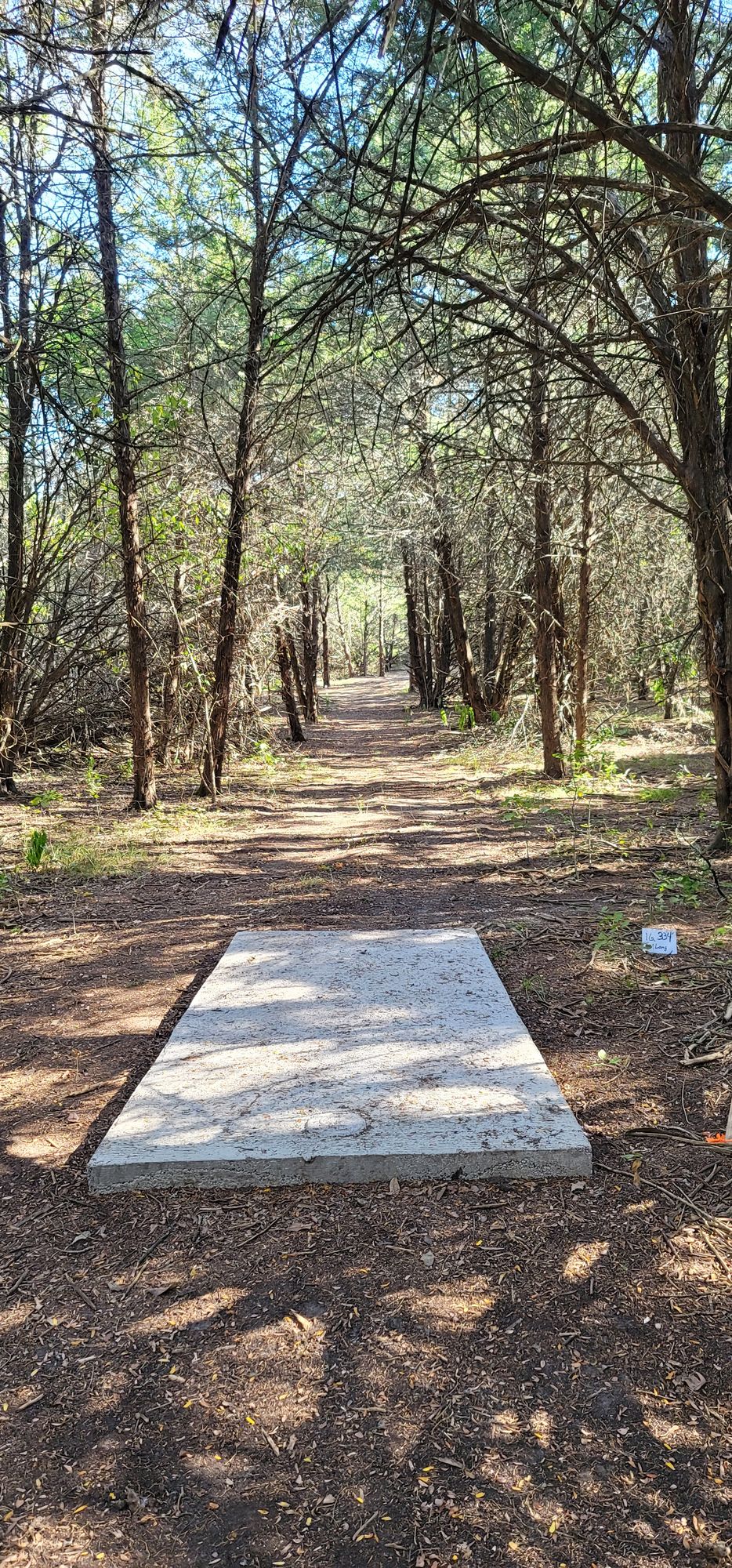 Hole 16 long tee