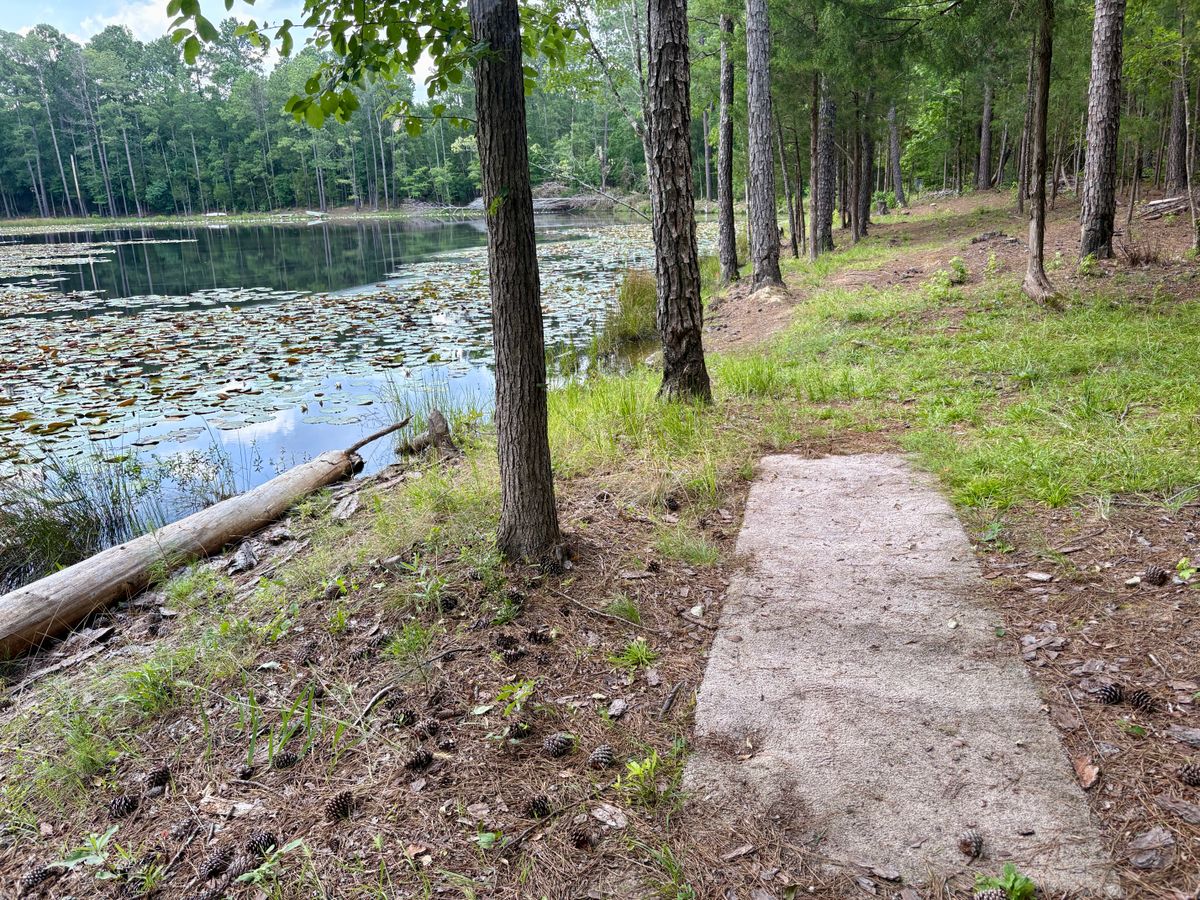 Hole 12 Tee