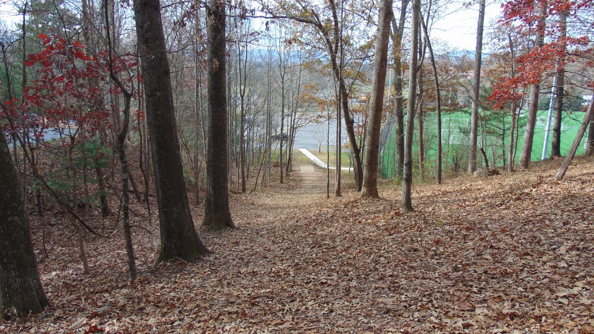Hole 14 looking back