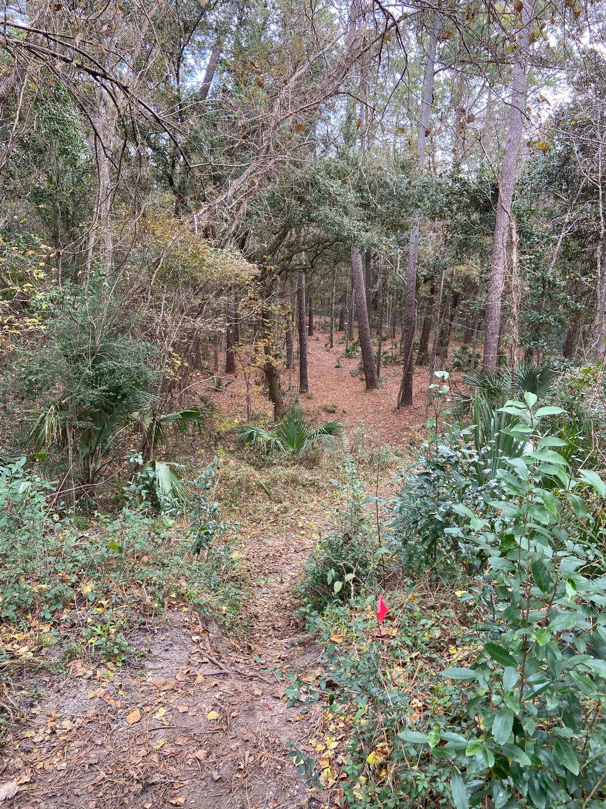 Hole 11