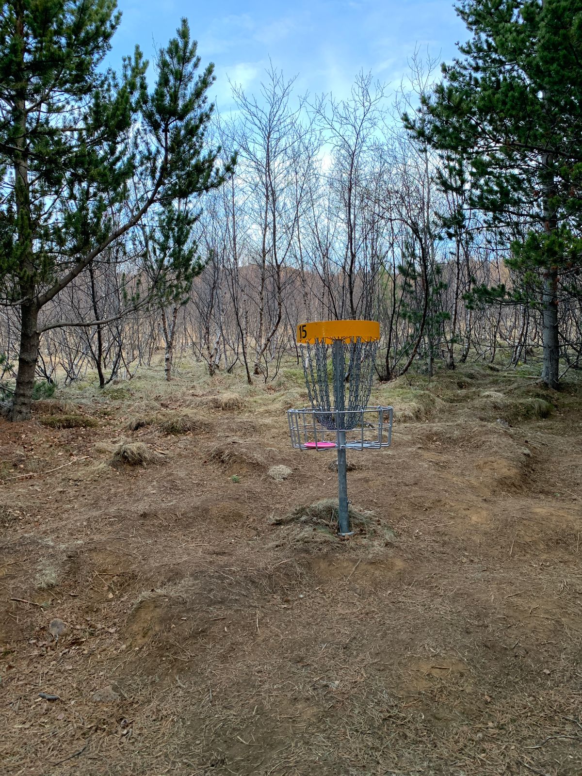 Hole 15