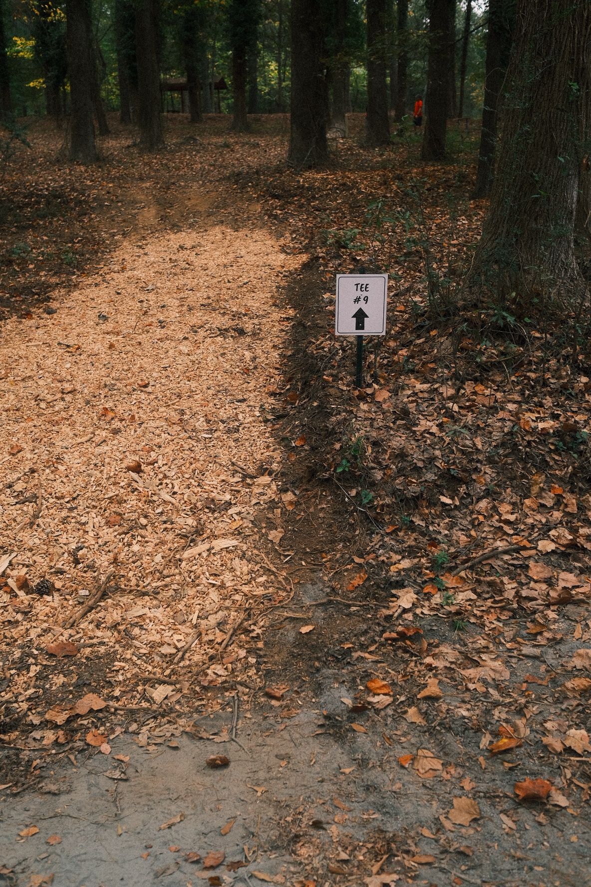 Next tee sign
