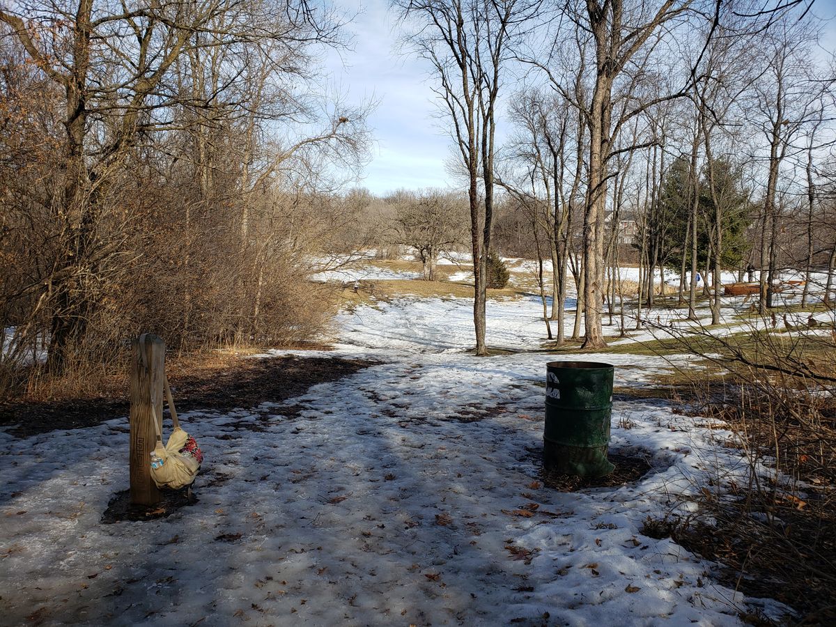 Hole 4 - 03/07/20