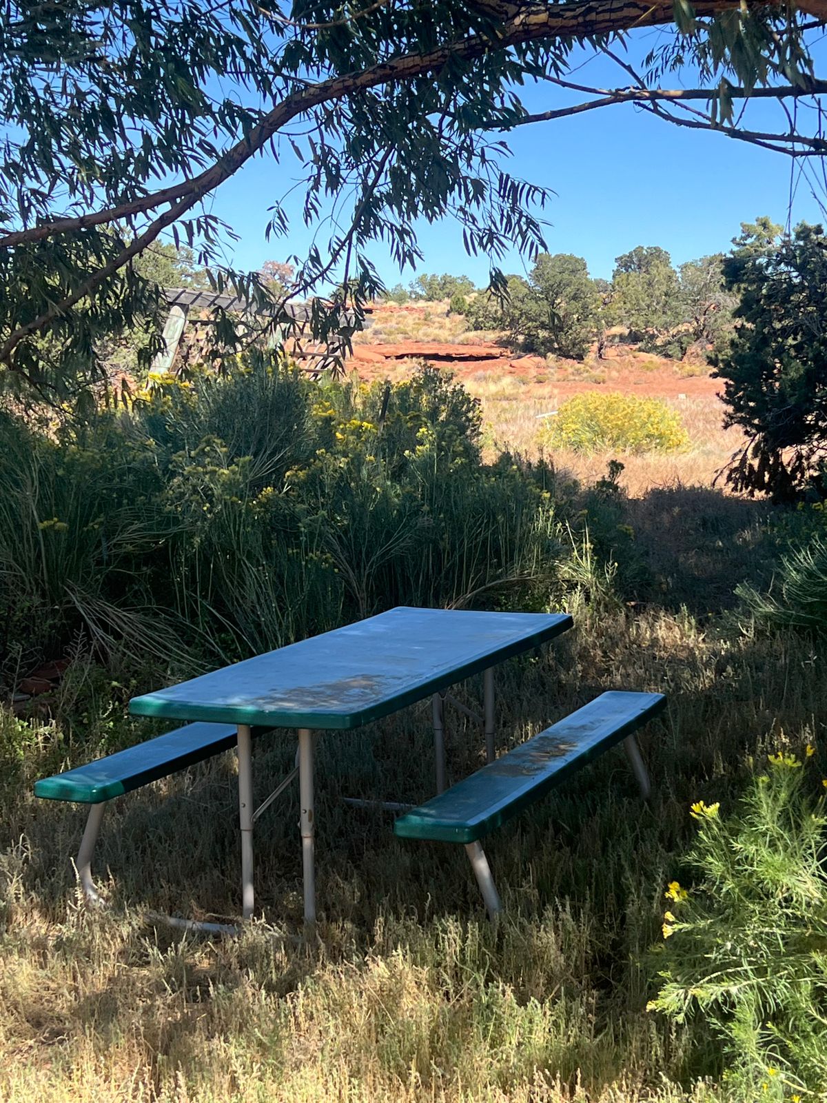 Picnic area at the tee of  Nine!
