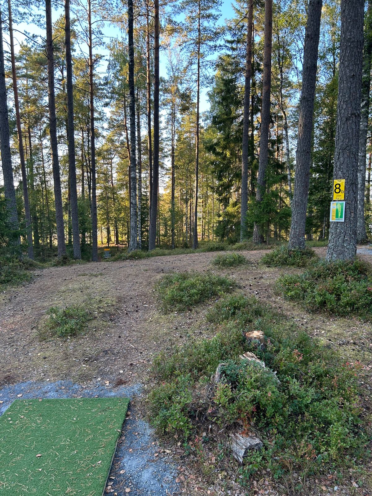 Tee 8B