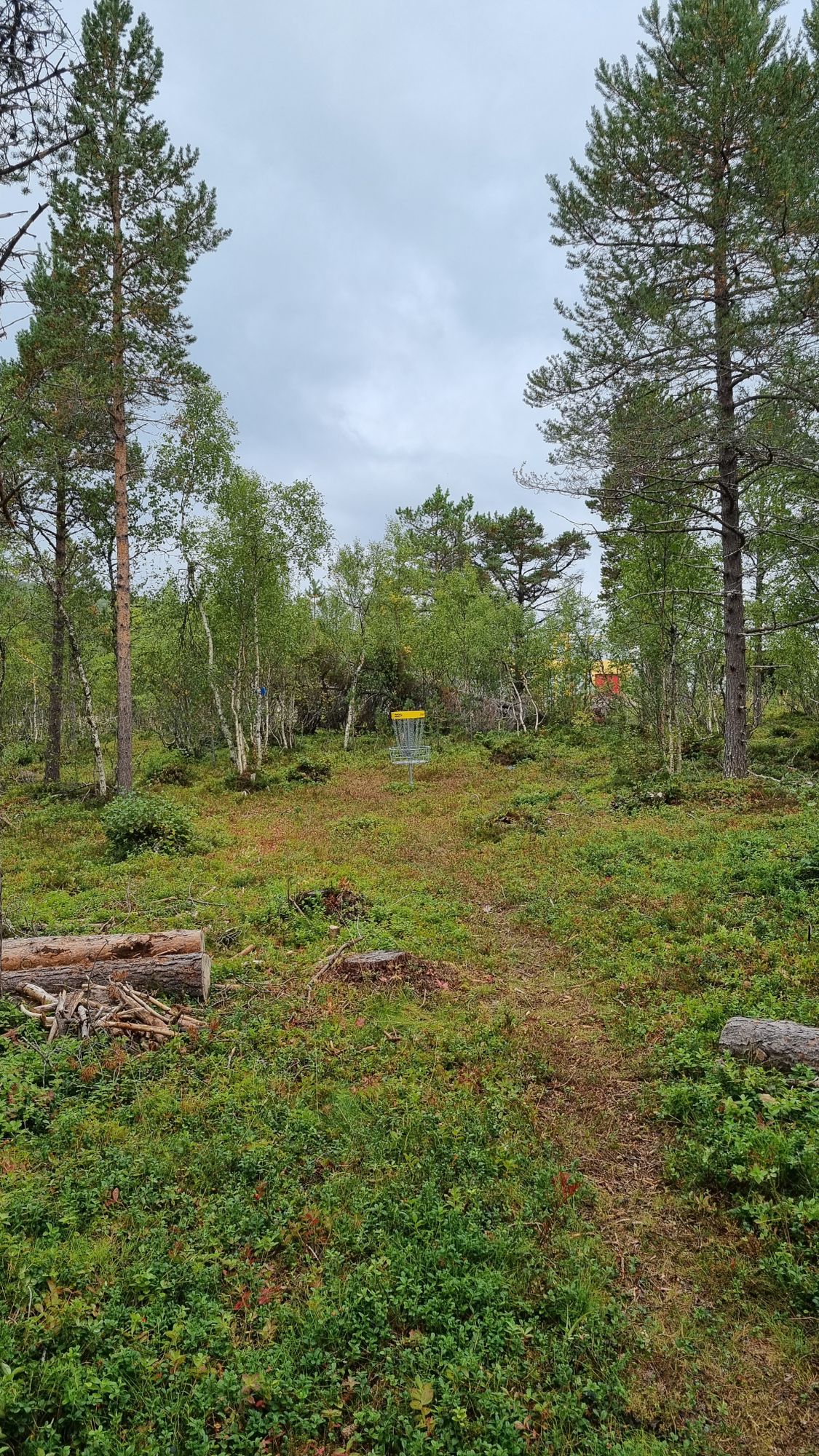 Hole 14