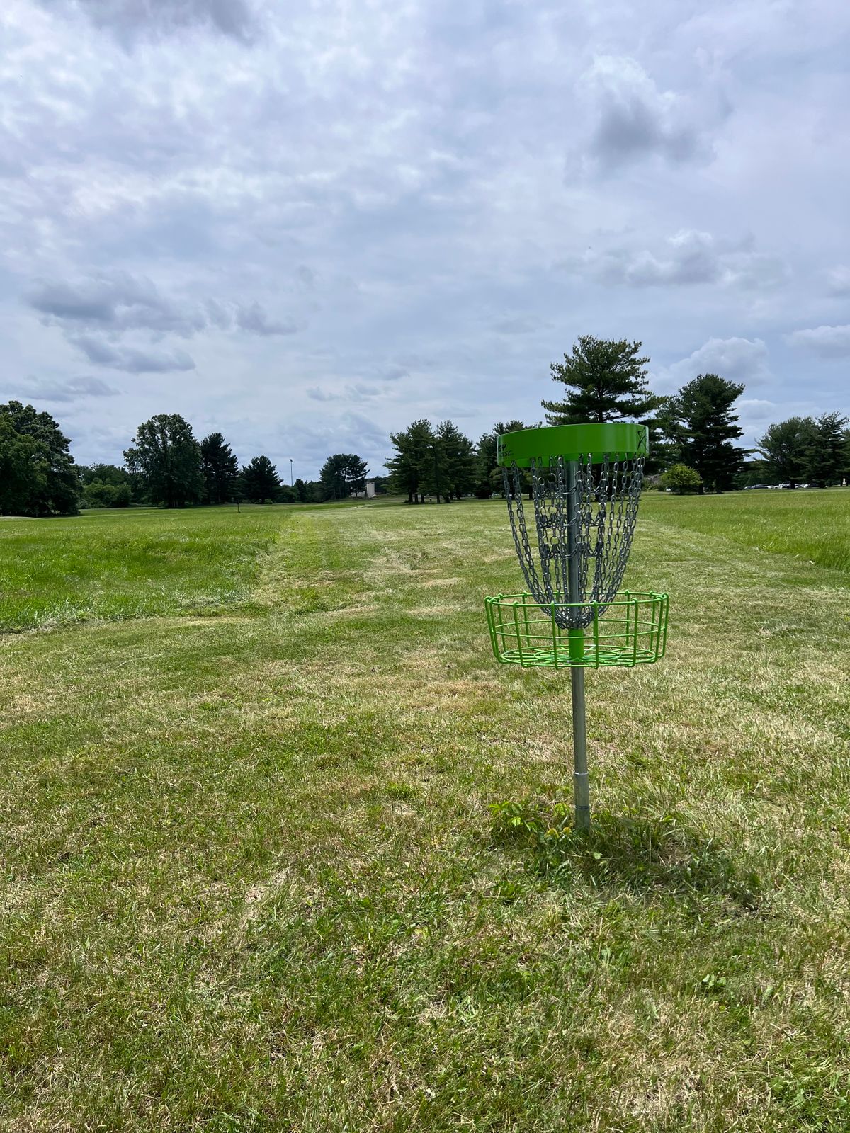 Hole 15 basket, looking back up the fairway