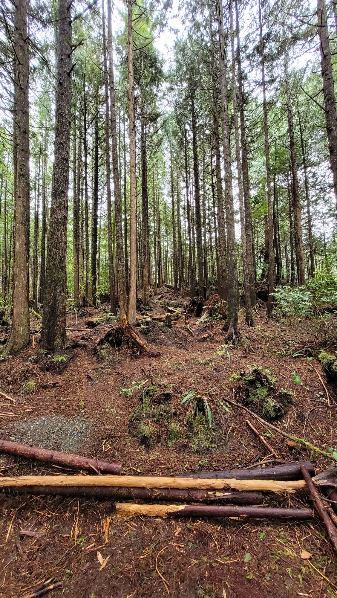 A few holes have a big elevation shift. Be prepared to hike a bit!