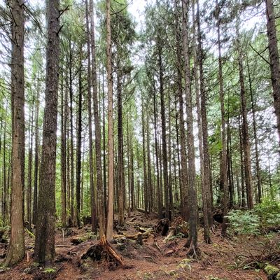 A few holes have a big elevation shift. Be prepared to hike a bit!