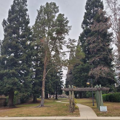 Entrance to Greenbelt (Hole 1 tee to the right)