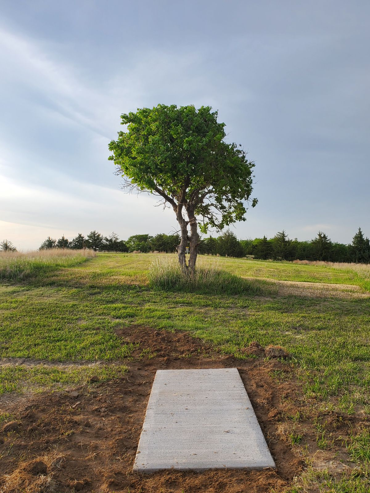 Hole 6