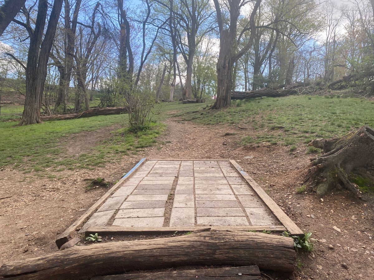 Hole 5 Blue