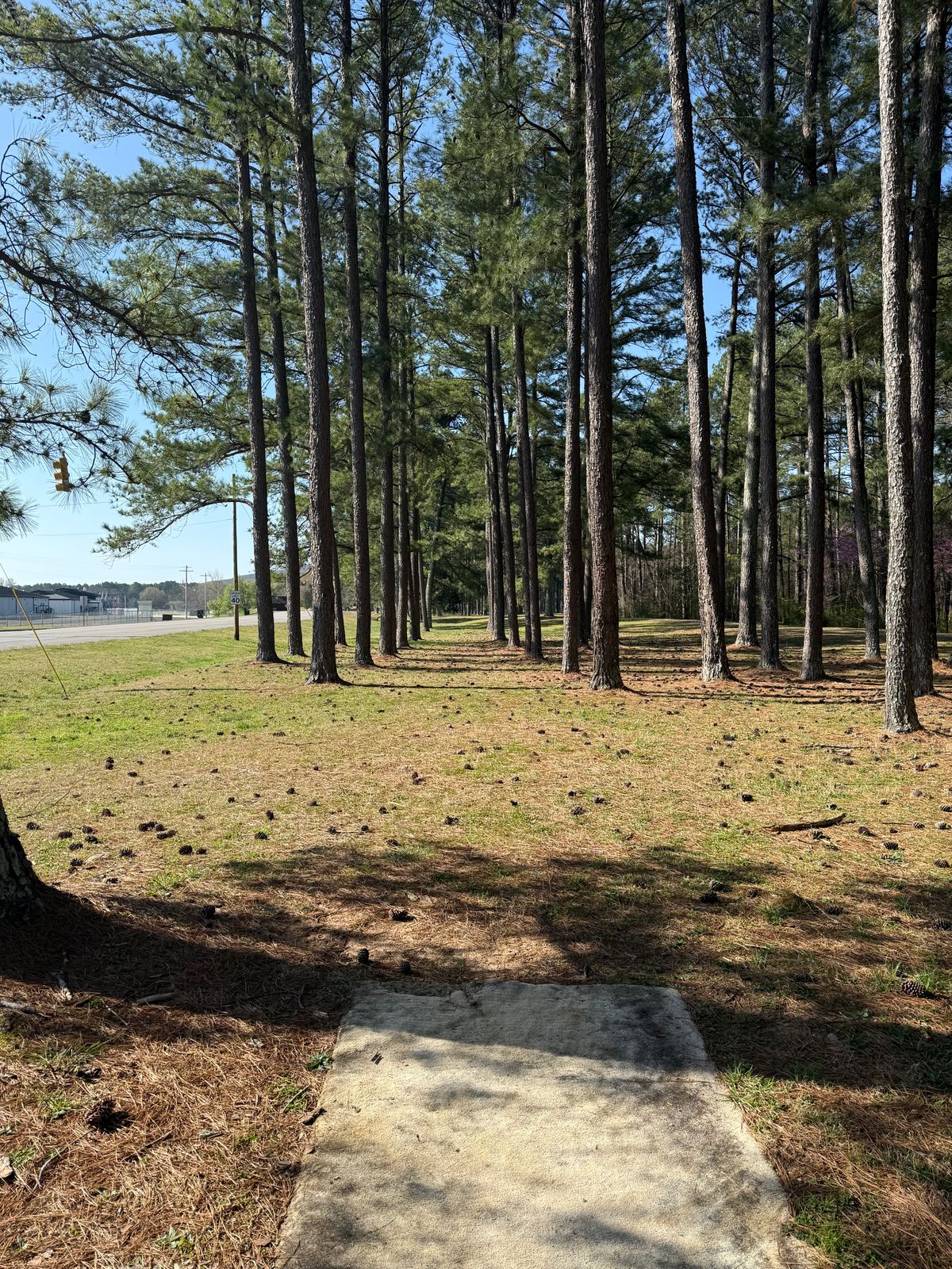 Hole 10 Tee box view 306 feet. Road is OB