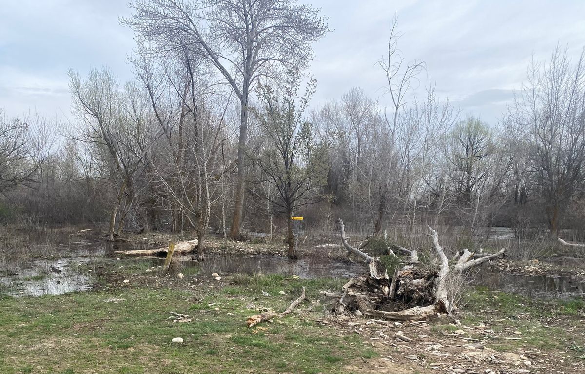 Hole 8 under water next to Boise river.