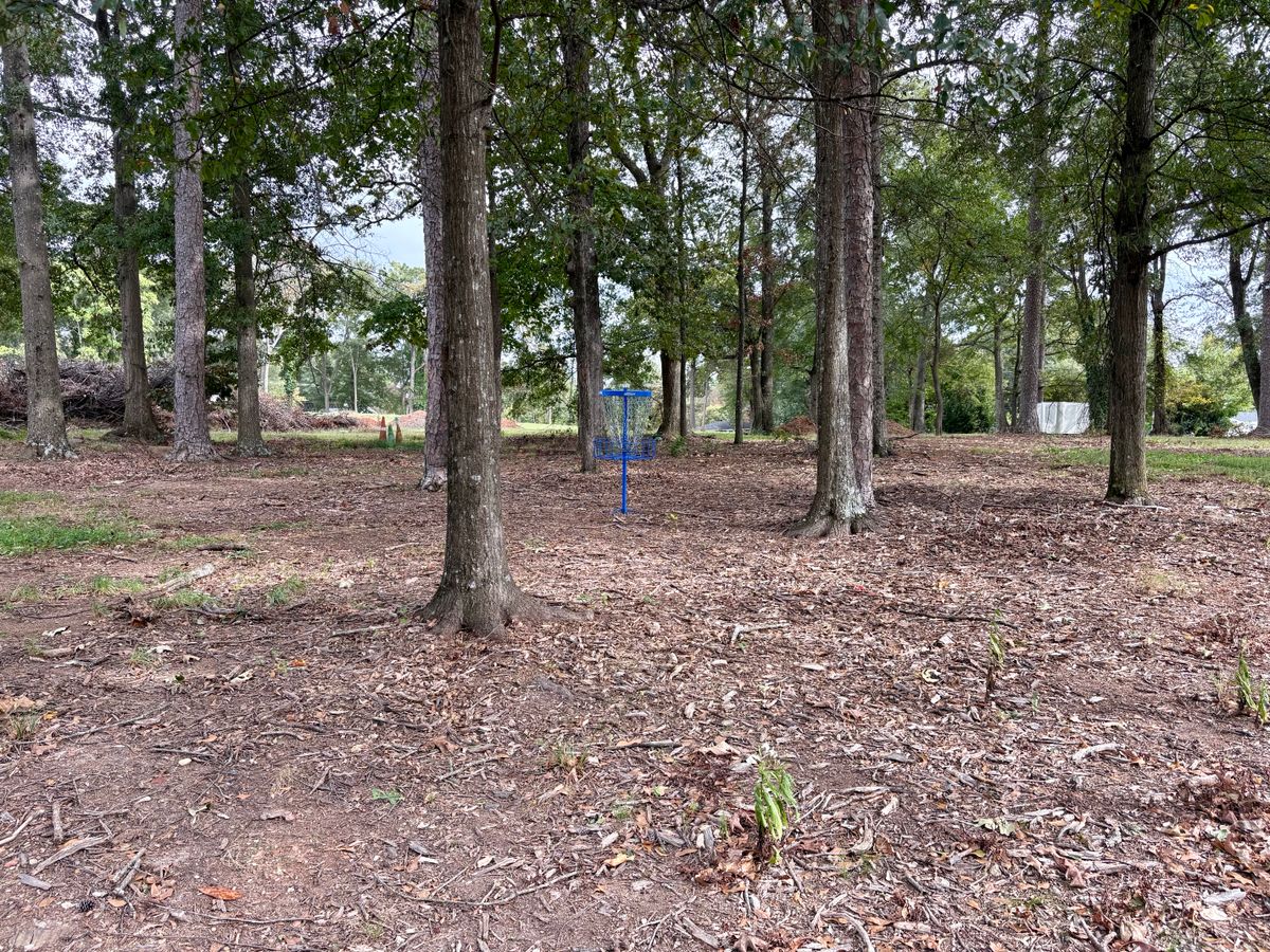 Hole 4 approach