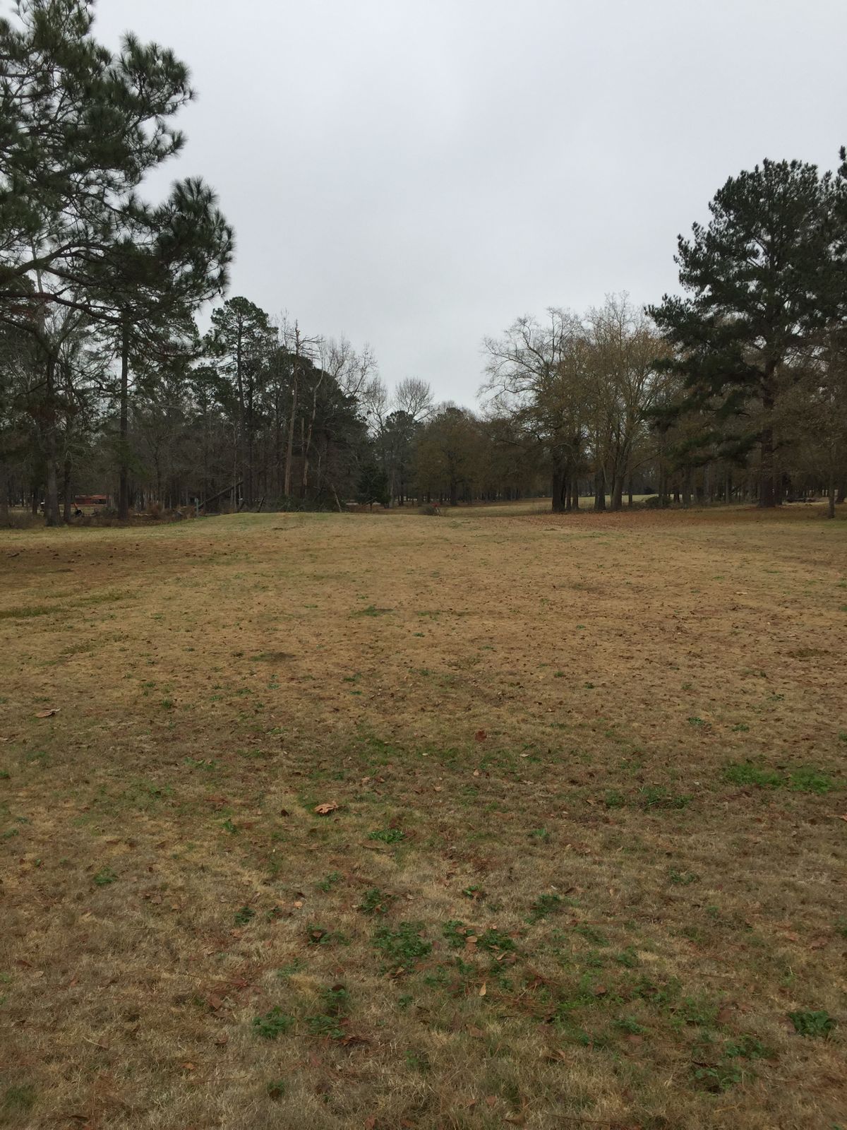 Hole 13