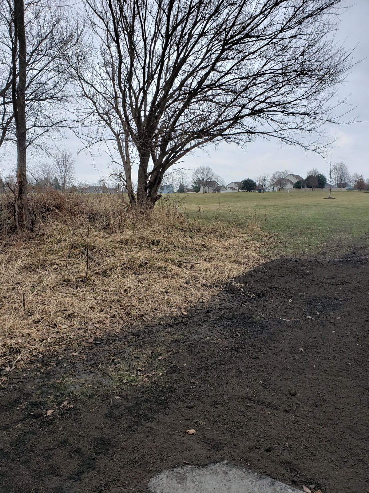 Hole 6 long