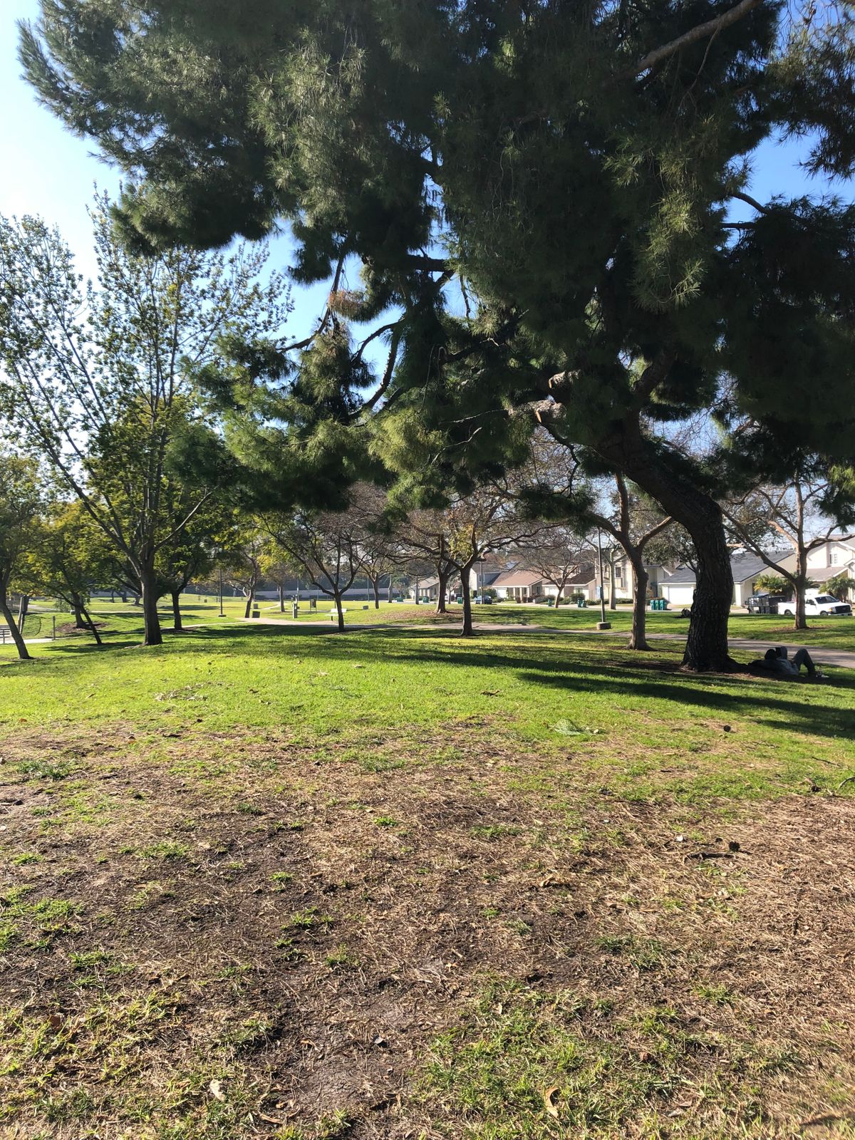 Hole 6 (Unoffical Long Tees)
