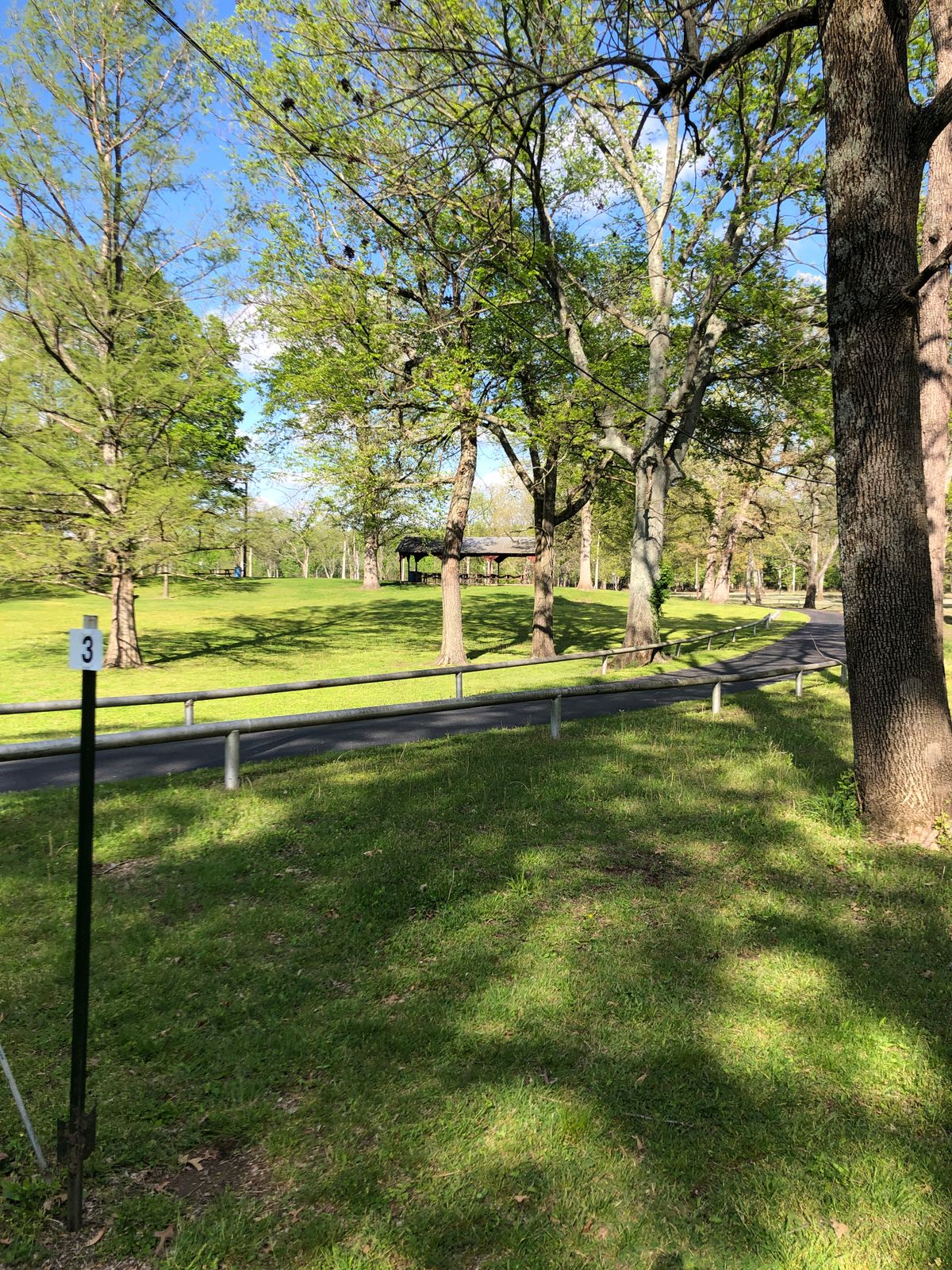 Hole 3 tee