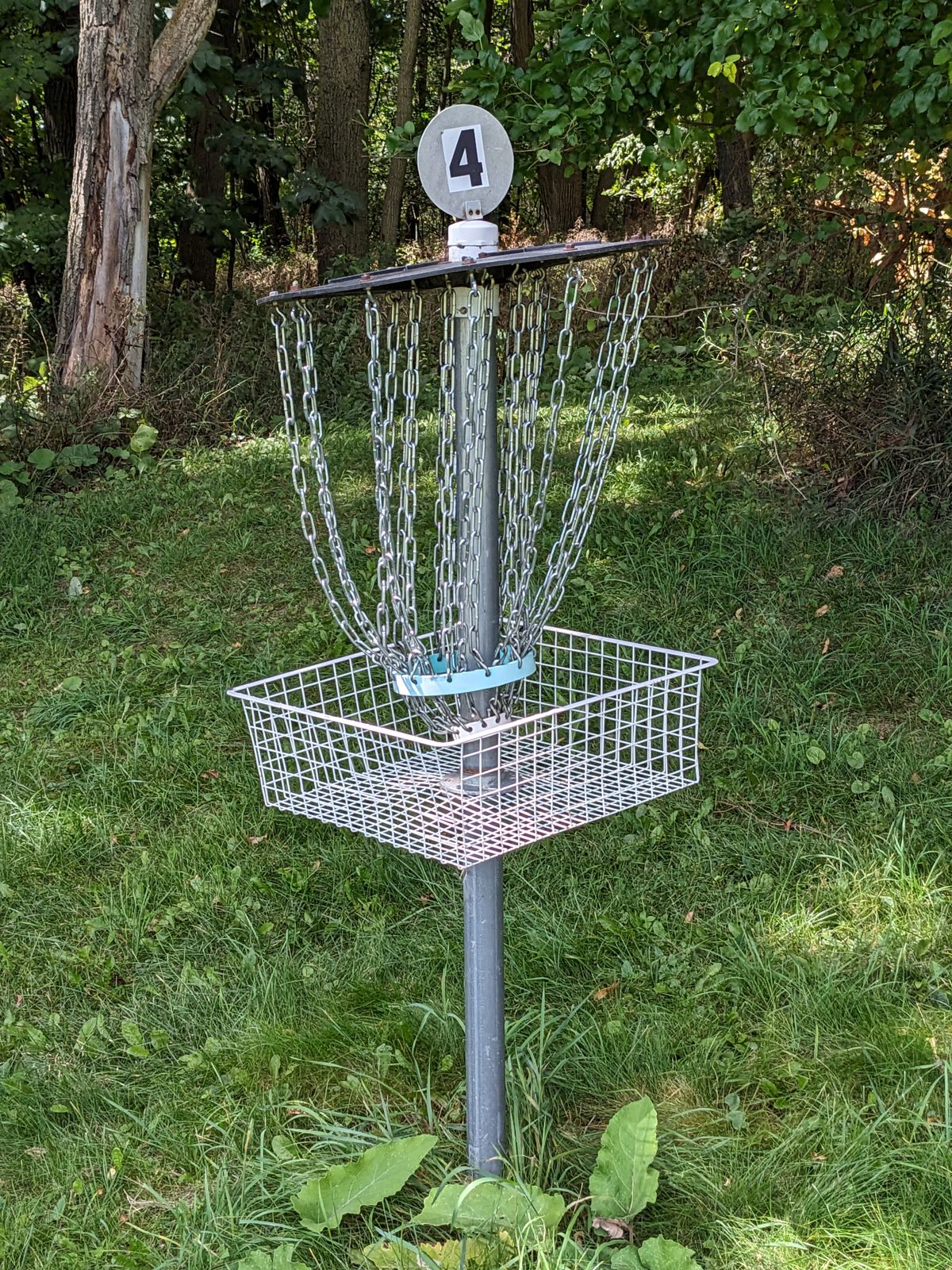 Well, they're creative.