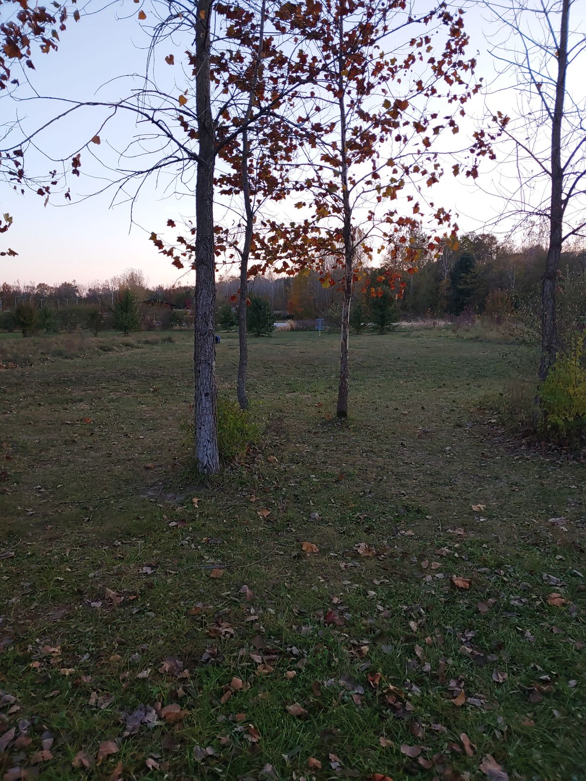 Hole 7 approach