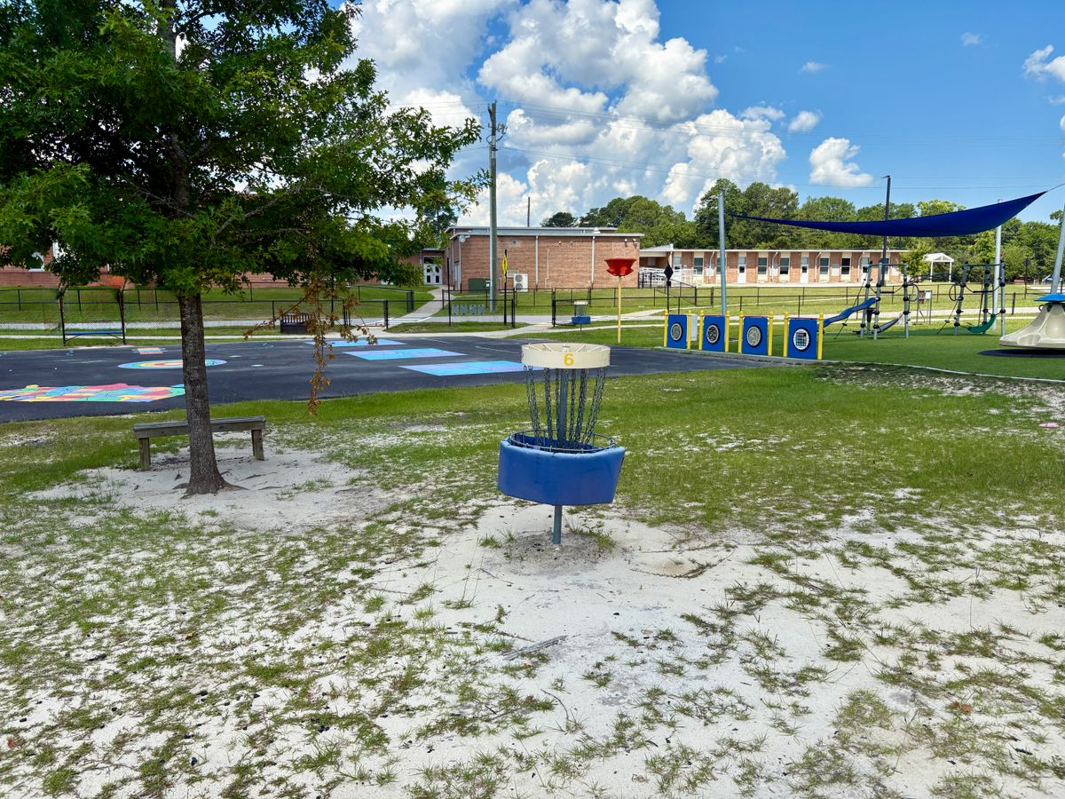 Hole 6 basket