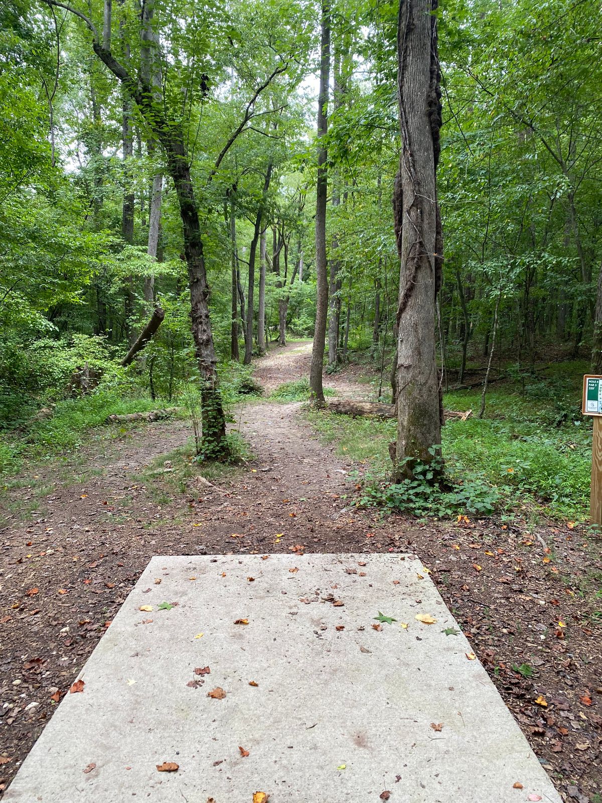 Hole 4