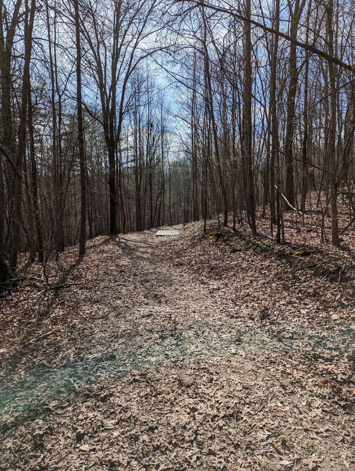 Hole 13, long tee