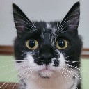 User avatar image