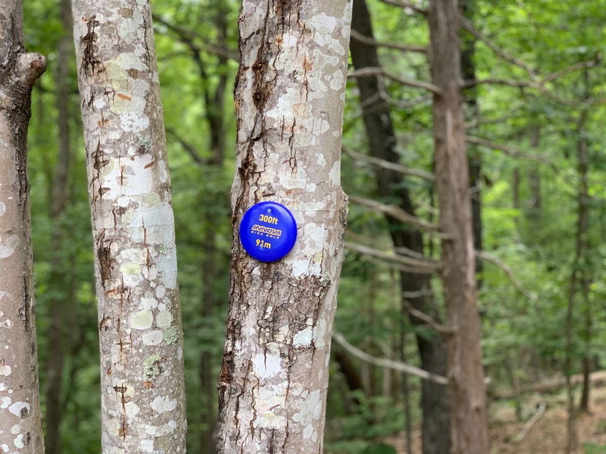 Hole 6