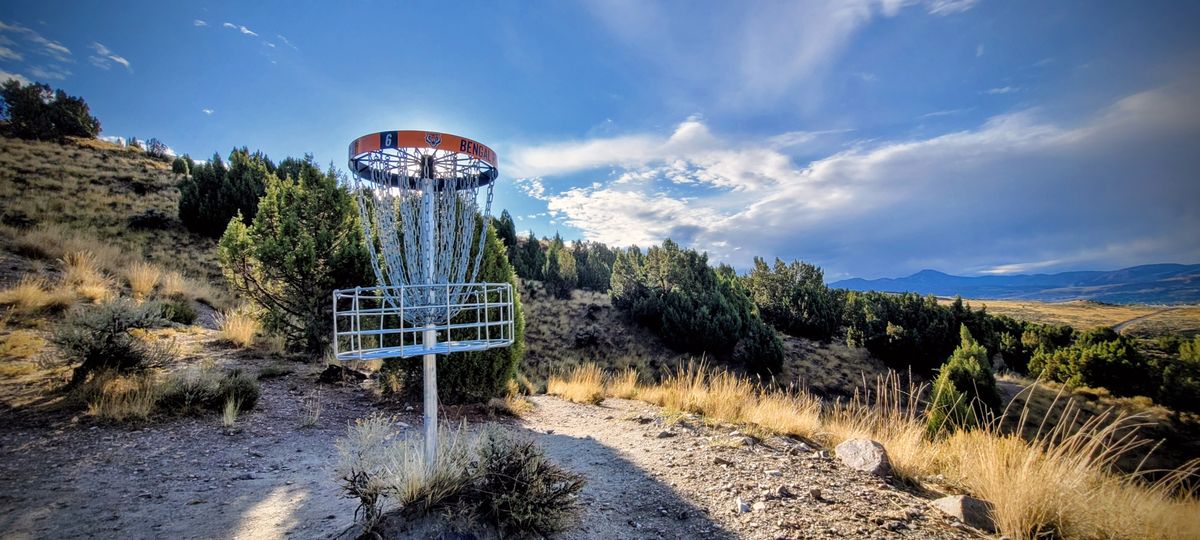 The gorgeous setting for basket 6.